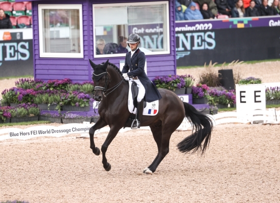 Corentin à Herning