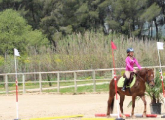 equifun