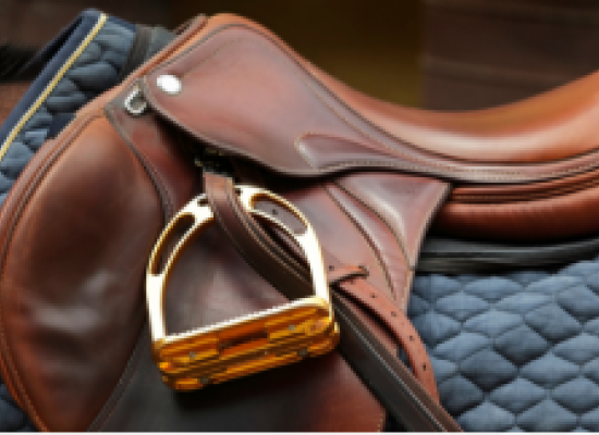 saddle